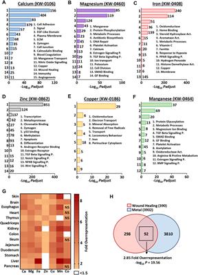 Combined Metallomics/Transcriptomics Profiling Reveals a Major Role for Metals in Wound Repair